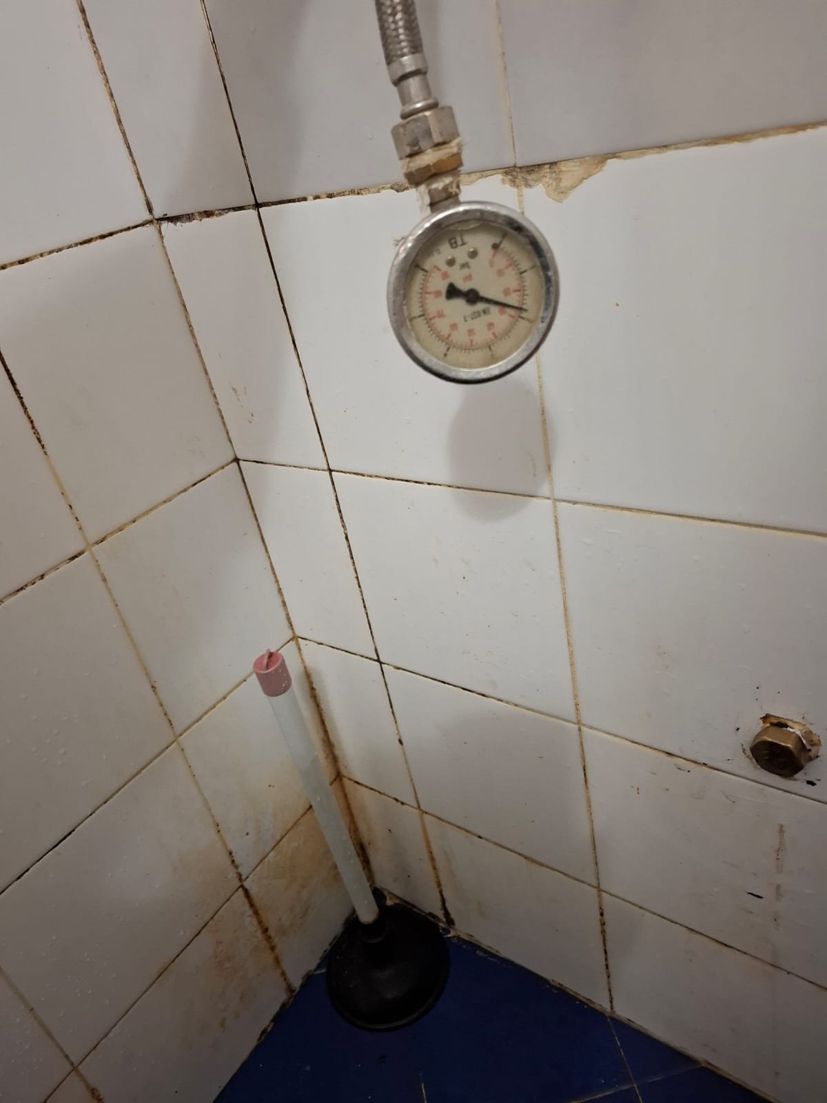 WhatsApp Image 2025-12-10 at 16.50.29 (1)