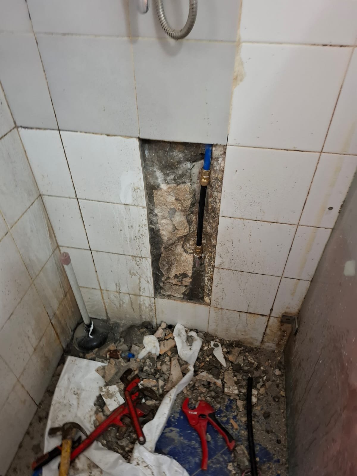 WhatsApp Image 2025-12-10 at 16.50.29