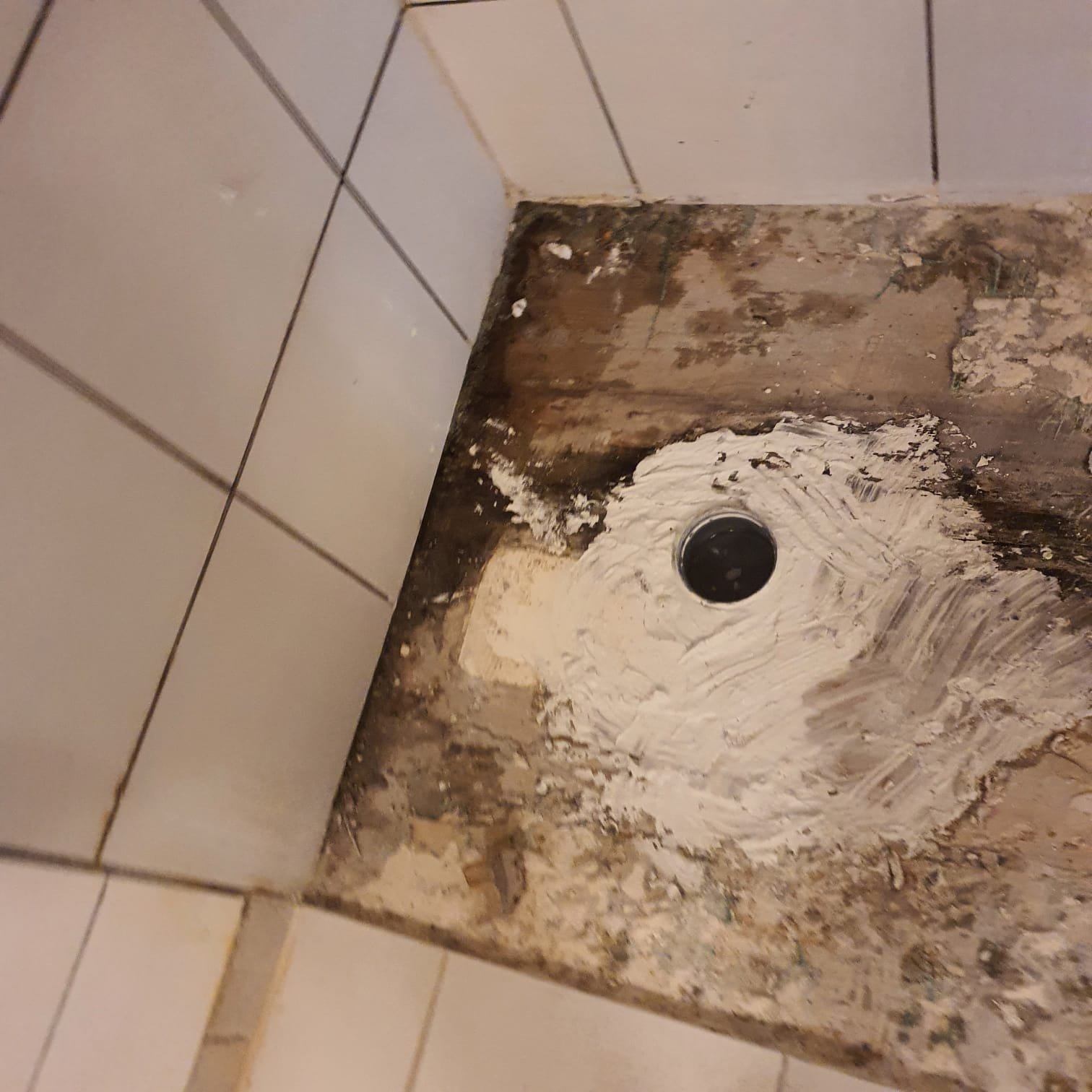 WhatsApp Image 2025-12-10 at 17.00.30